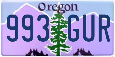 OR license plate 993GUR