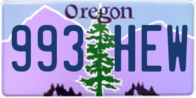 OR license plate 993HEW