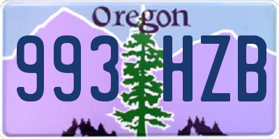OR license plate 993HZB