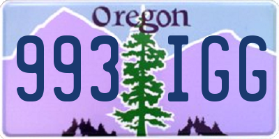 OR license plate 993IGG