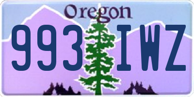 OR license plate 993IWZ