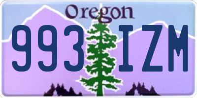 OR license plate 993IZM