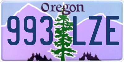 OR license plate 993LZE