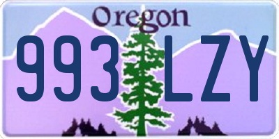 OR license plate 993LZY