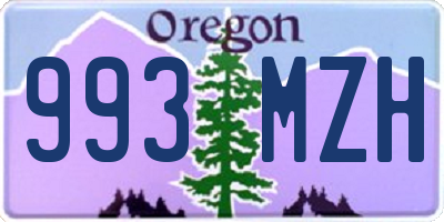 OR license plate 993MZH