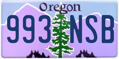 OR license plate 993NSB