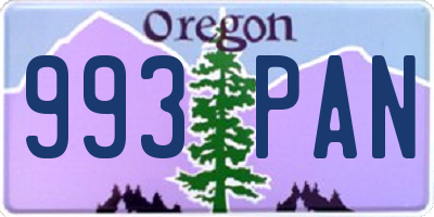 OR license plate 993PAN