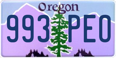 OR license plate 993PEO