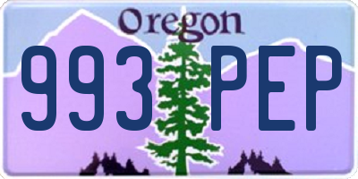 OR license plate 993PEP