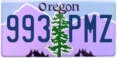 OR license plate 993PMZ