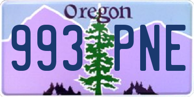 OR license plate 993PNE