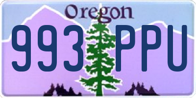 OR license plate 993PPU