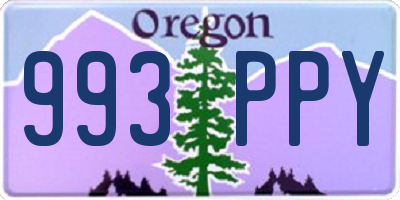 OR license plate 993PPY