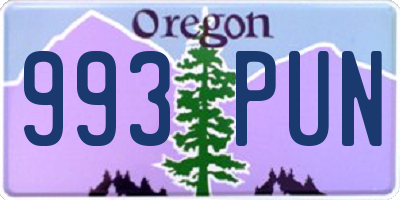 OR license plate 993PUN