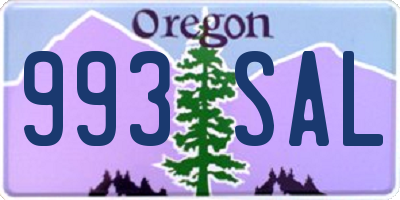 OR license plate 993SAL