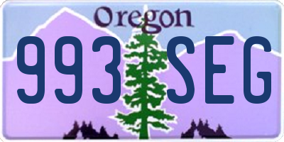 OR license plate 993SEG