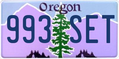 OR license plate 993SET