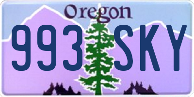 OR license plate 993SKY