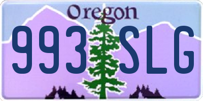 OR license plate 993SLG