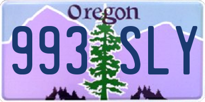 OR license plate 993SLY