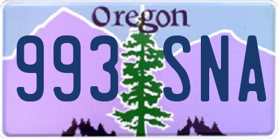 OR license plate 993SNA