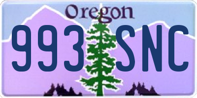 OR license plate 993SNC