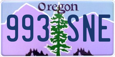 OR license plate 993SNE