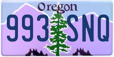 OR license plate 993SNQ