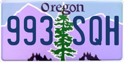 OR license plate 993SQH