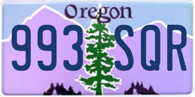 OR license plate 993SQR