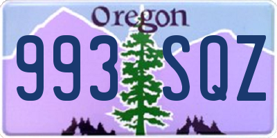 OR license plate 993SQZ