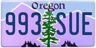 OR license plate 993SUE