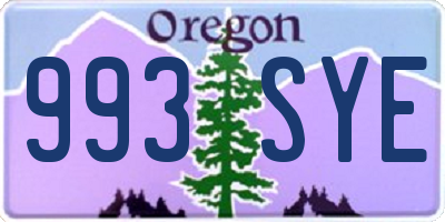 OR license plate 993SYE