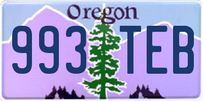 OR license plate 993TEB