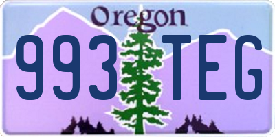 OR license plate 993TEG