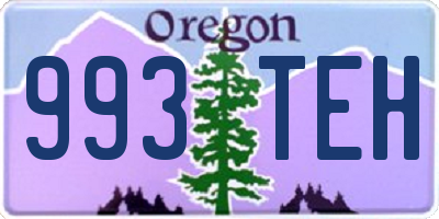 OR license plate 993TEH