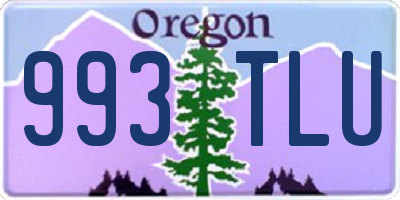 OR license plate 993TLU