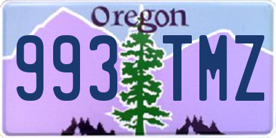 OR license plate 993TMZ