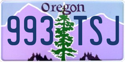 OR license plate 993TSJ