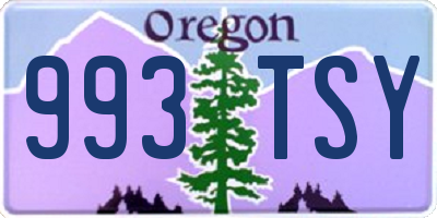 OR license plate 993TSY