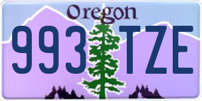 OR license plate 993TZE