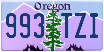 OR license plate 993TZI