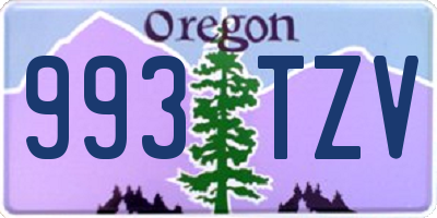 OR license plate 993TZV