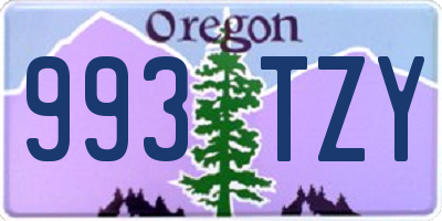 OR license plate 993TZY