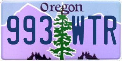 OR license plate 993WTR