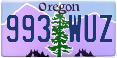 OR license plate 993WUZ