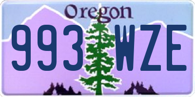 OR license plate 993WZE