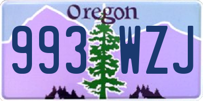 OR license plate 993WZJ