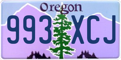 OR license plate 993XCJ