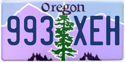OR license plate 993XEH